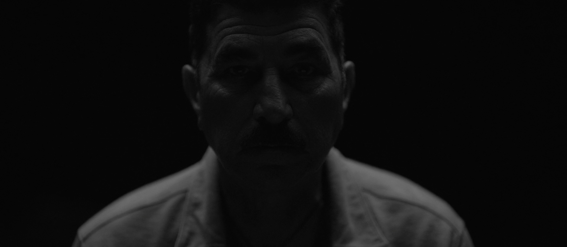My Tree of Life: still from the short film directed by Christian Schultz
